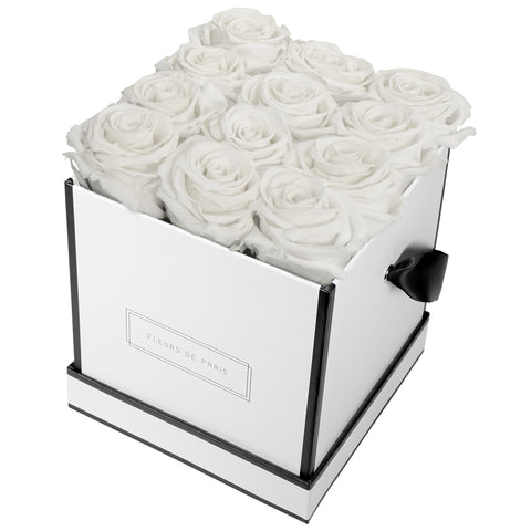 Medium / White - Square / Ivory